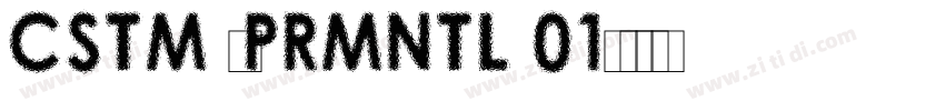 CSTM XPRMNTL 01字体转换